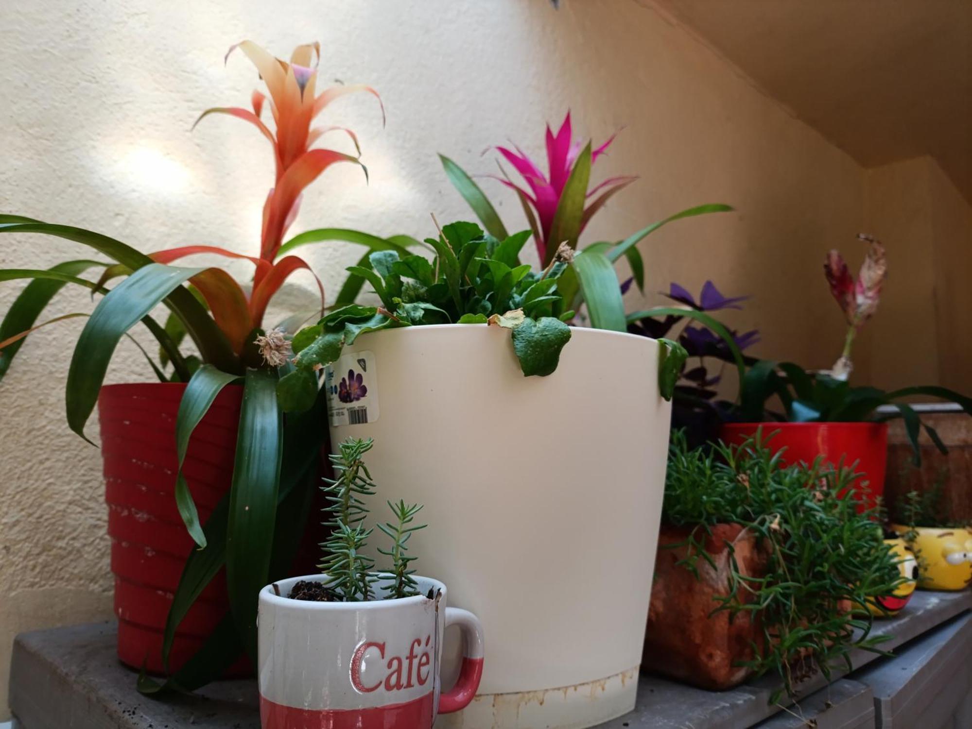 Studio Antonio Split Extérieur photo